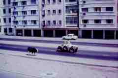 ���� ������ ��� ��� ����